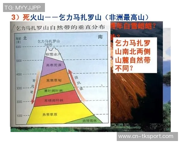 俄罗斯与埃及比赛裁判的公正性与争议分析 俄罗斯与埃及比赛裁判的公正性与争议分析